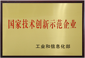 国家技术创新示范企业